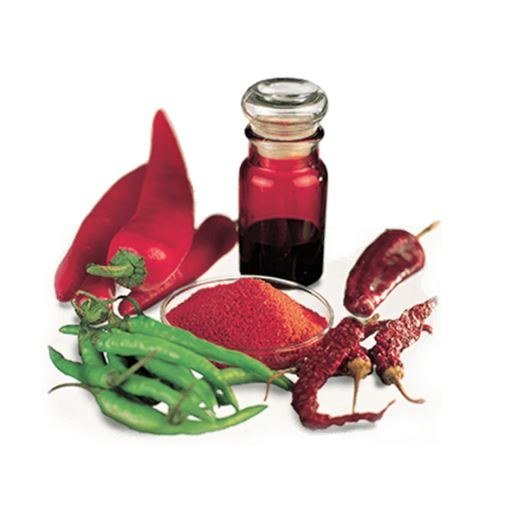 Capsicum supplied by Aureva Group from India