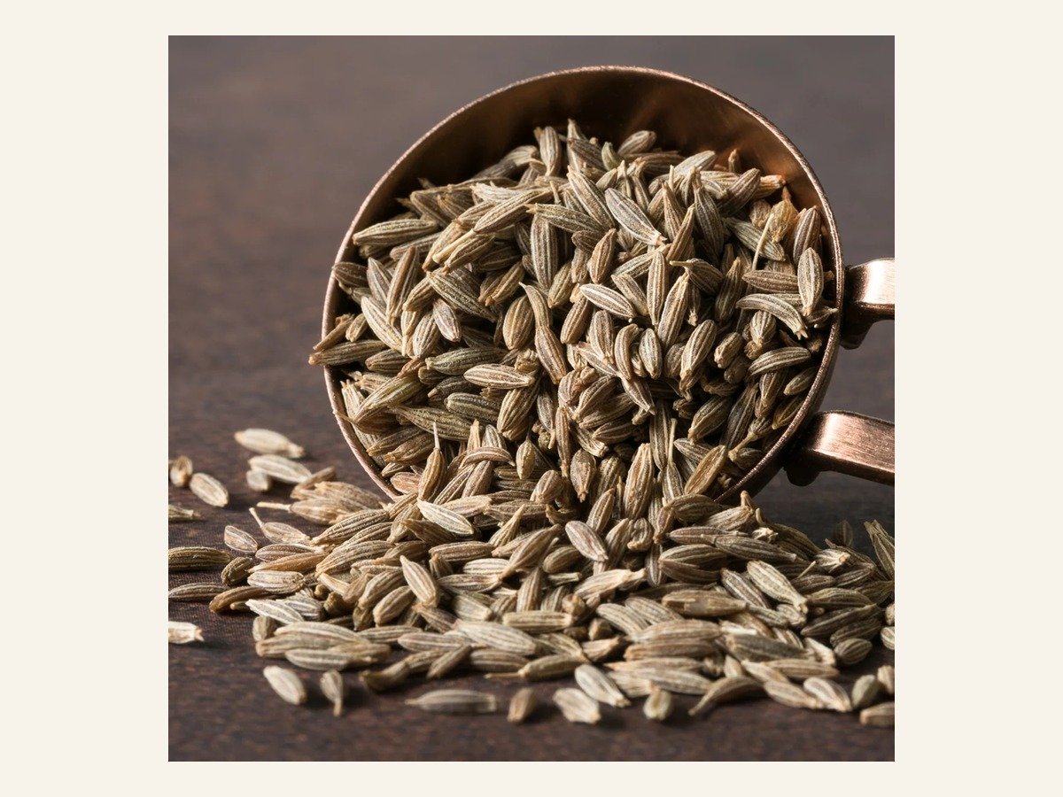 Cumin supplied by Aureva Group from India