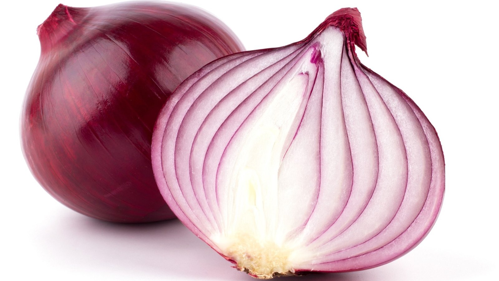 Dehydrated Onion — Flakes / Powder supplied by Aureva Group from India
